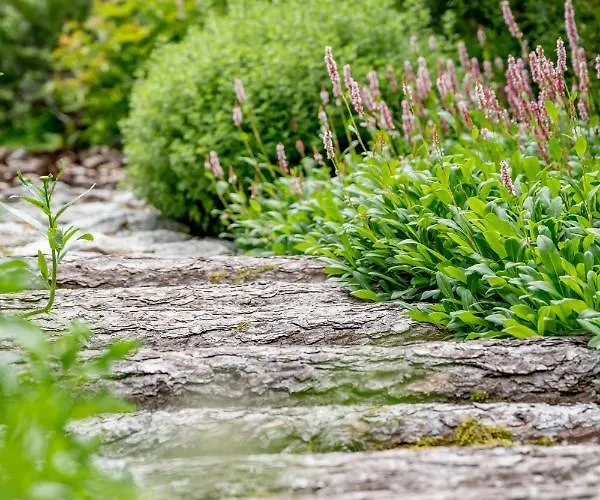 Vierjahreszeiten 4* トゥクス