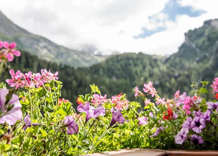 Vierjahreszeiten 4* トゥクス